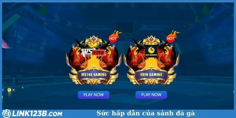 Tìm hiểu về Đá gà 123B