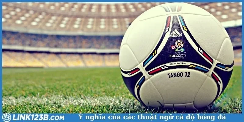 Ý nghĩa của các thuật ngữ cá độ bóng đá