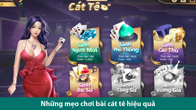 Hướng dẫn chơi bài Cát tê đổi thưởng và các mẹo chơi hiệu quả cho bet thủ