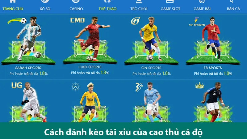 Cách đọc kèo và các cách đánh kèo tài xỉu bóng đá từ cao thủ cá độ