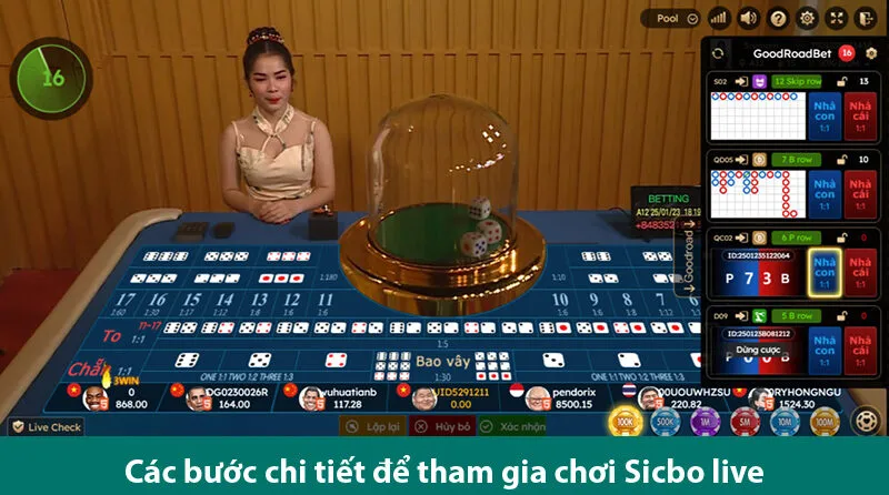 Hướng dẫn cách chơi Sicbo live chi tiết và mẹo chơi cá cược từ cao thủ