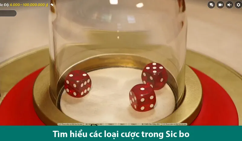 Hướng dẫn cách chơi Sicbo live chi tiết và mẹo chơi cá cược từ cao thủ
