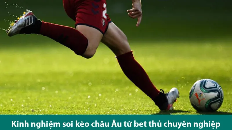 Chiến lược và kinh nghiệm chơi kèo châu Âu 1x2 từ bet thủ chuyên nghiệp