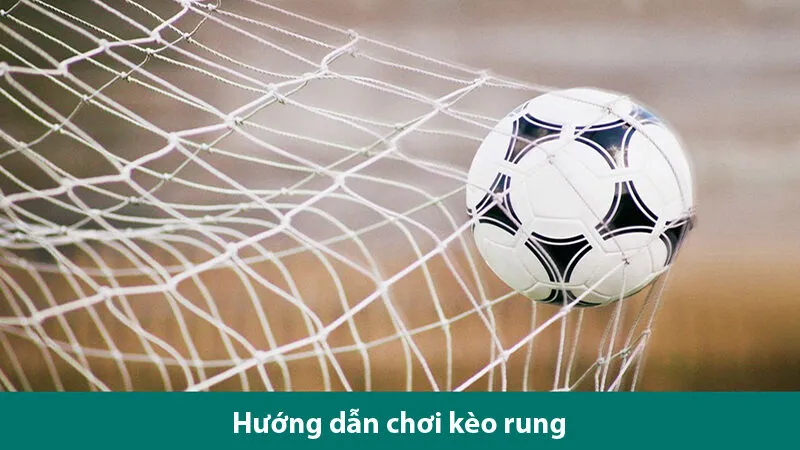 Tìm hiểu các đặc điểm, cách chơi và kinh nghiệm chơi kèo rung hiệu quả 