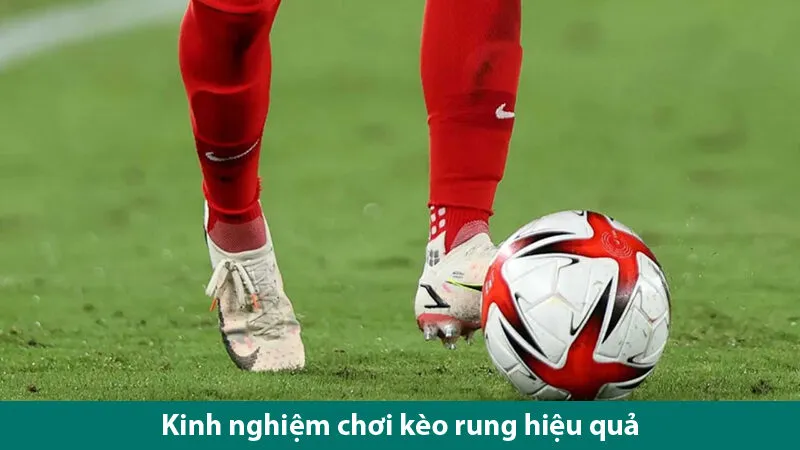 Tìm hiểu các đặc điểm, cách chơi và kinh nghiệm chơi kèo rung hiệu quả