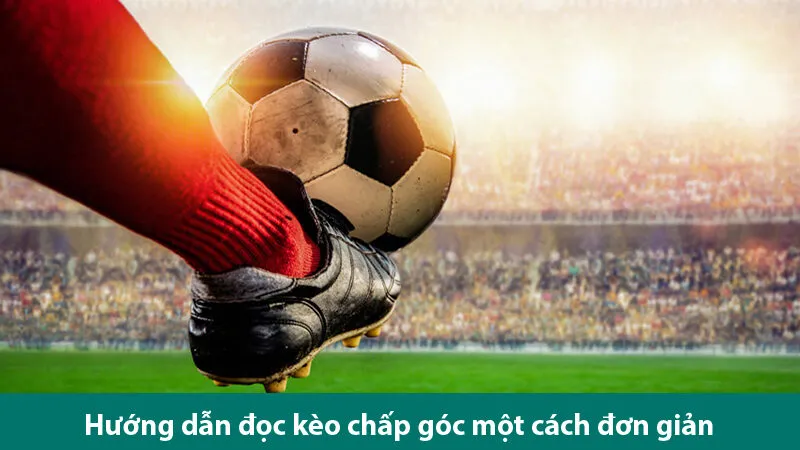 Hướng dẫn cách đọc kèo và mẹo cược kèo chấp phạt góc thắng lớn