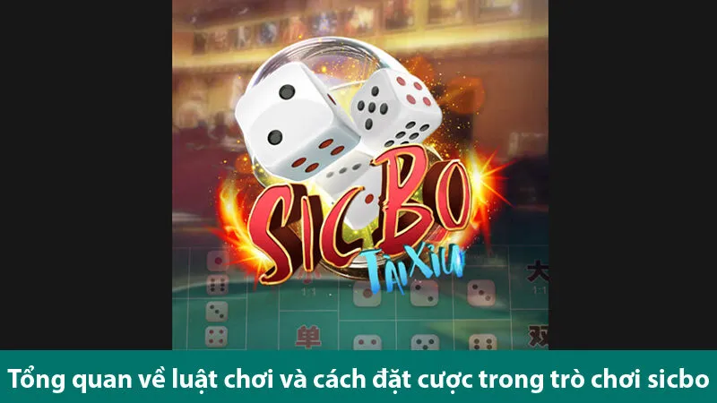 Tài xỉu Sic bo đổi thưởng: Tìm hiểu các cửa cược và kinh nghiệm chơi hiệu quả