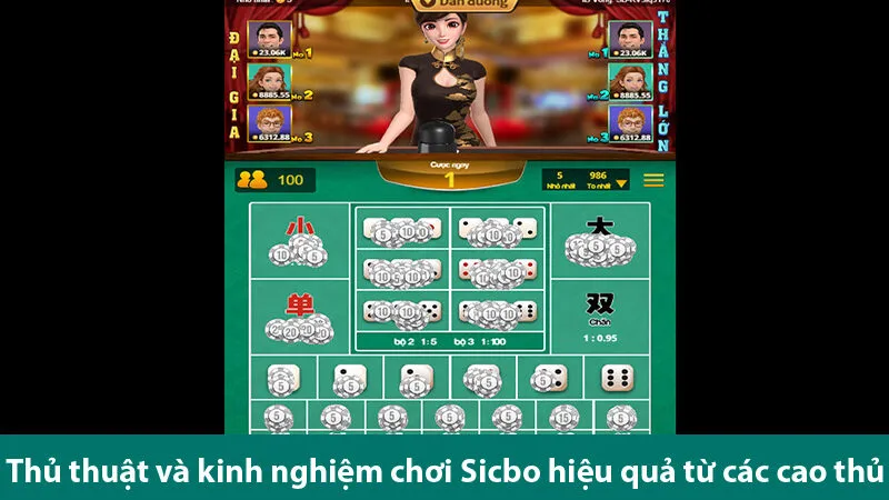 Tài xỉu Sic bo đổi thưởng: Tìm hiểu các cửa cược và kinh nghiệm chơi hiệu quả